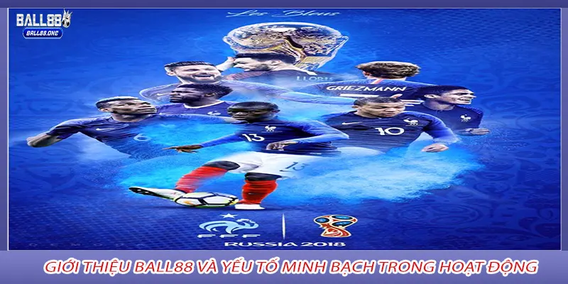 Giới thiệu Ball88 và yếu tố minh bạch trong hoạt động