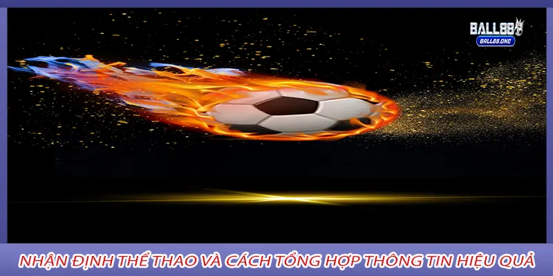 Nhận Định Thể Thao và cách tổng hợp thông tin hiệu quả