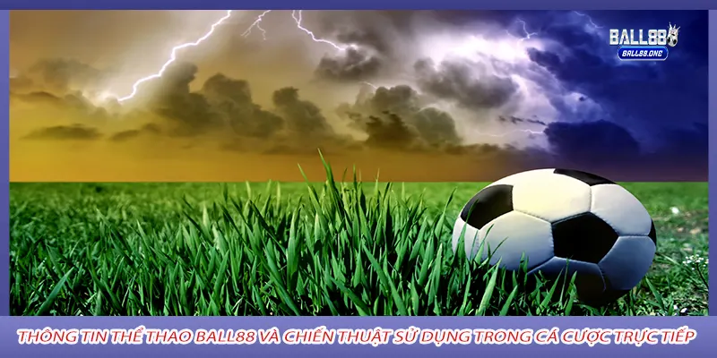 Thông tin thể thao Ball88 và chiến thuật sử dụng trong cá cược trực tiếp