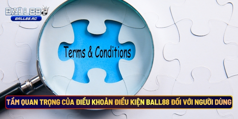 Tầm Quan Trọng Của Điều Khoản Điều Kiện Ball88 Đối Với Người Dùng