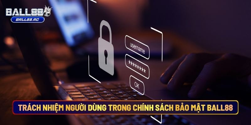 Quyền Và Trách Nhiệm Của Người Dùng Trong Chính Sách Bảo Mật Ball88